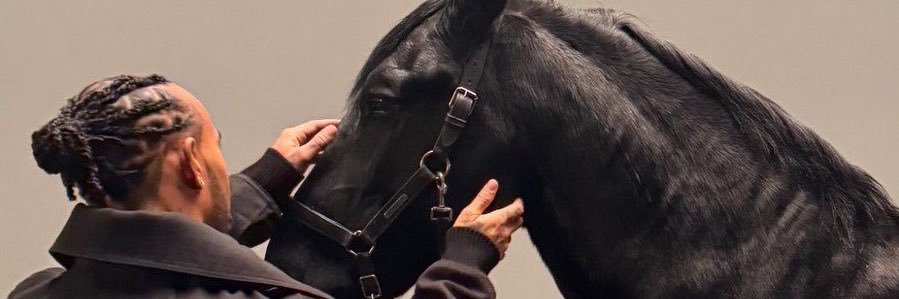 lewizham's profile banner image