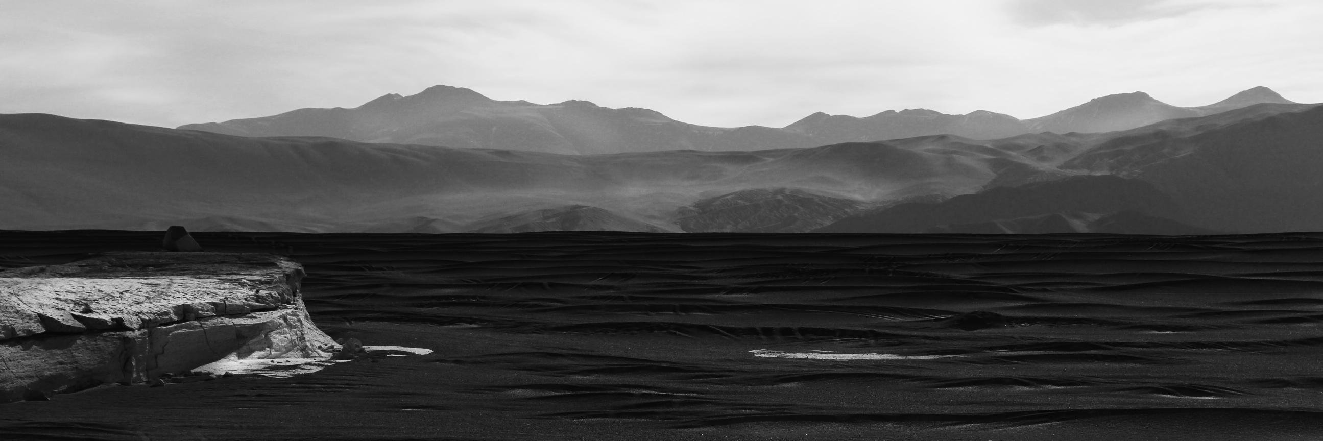 Martin Boerr banner