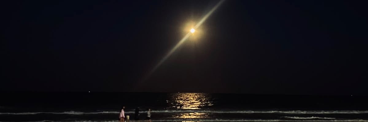 bx_campss's profile banner image
