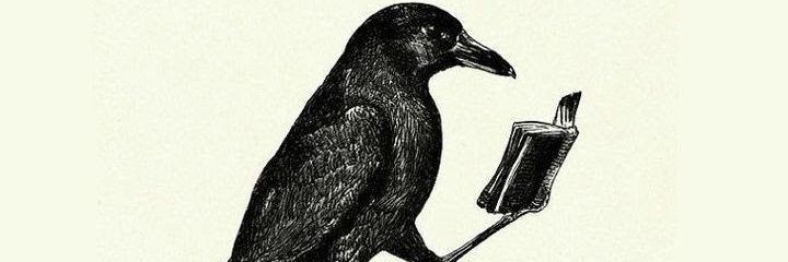 Blulagoon___'s profile banner image