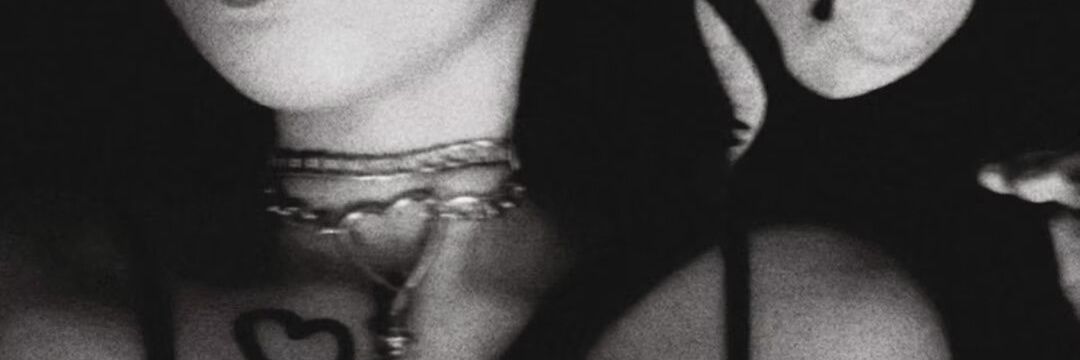 野 banner