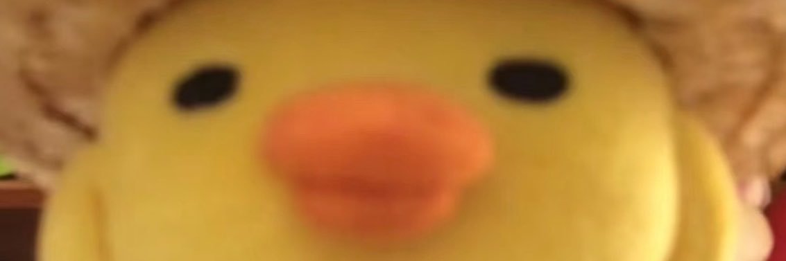 llilynaa's profile banner image