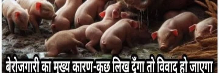 🚩💚डेय 🚩Shaiलू🚩⛄अनारक्षित banner