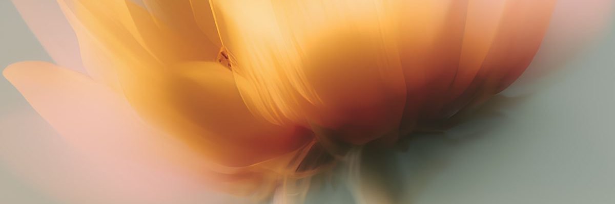 _sya17's profile banner image