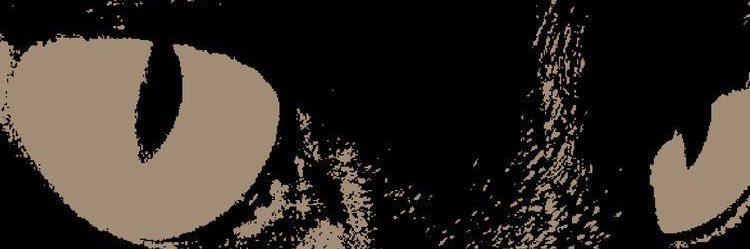 monday. banner