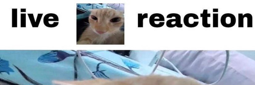 CowboyBastion banner