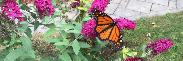 O617ON Profile Banner