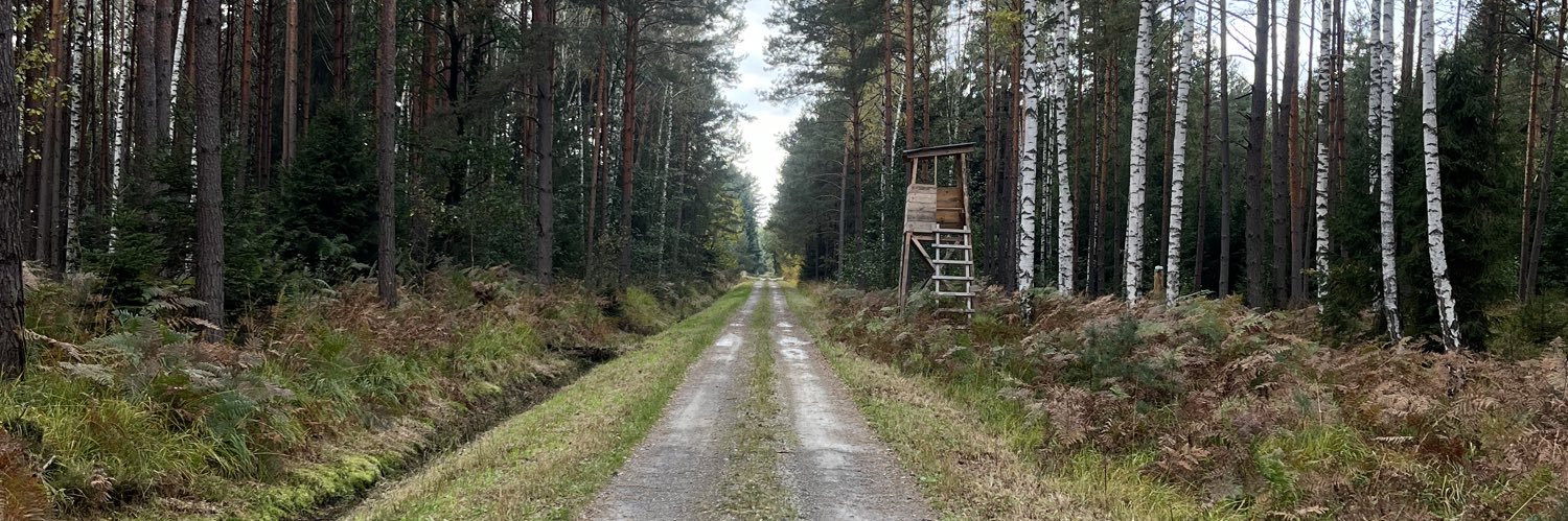 Pioter z bagna banner