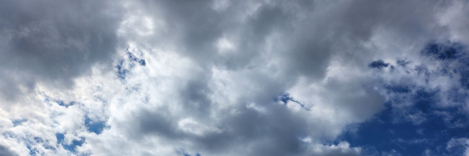 FAMM1's profile banner image