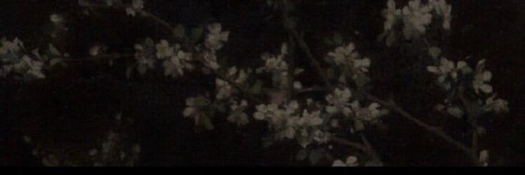 liiliosa's profile banner image
