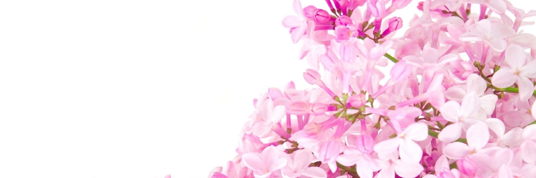 YassintanNH's profile banner image