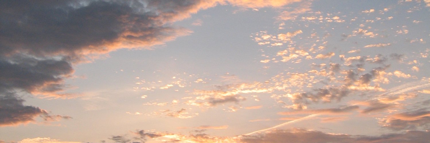 煩悩's banner