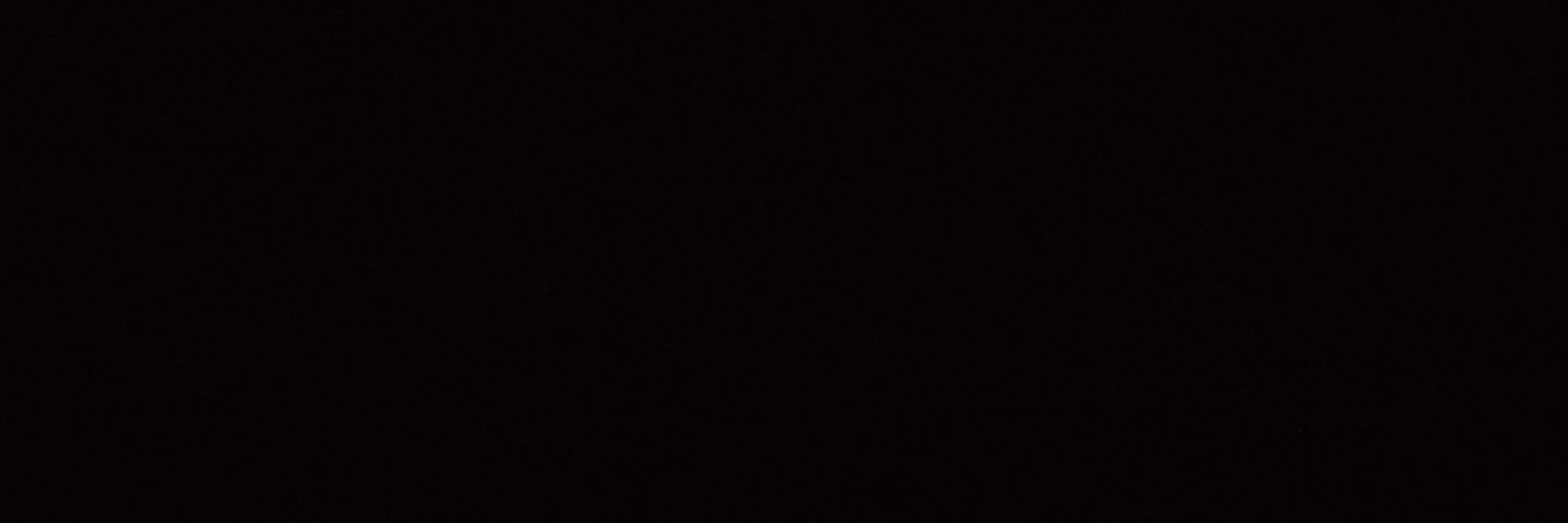 HOLLArK . bnc banner
