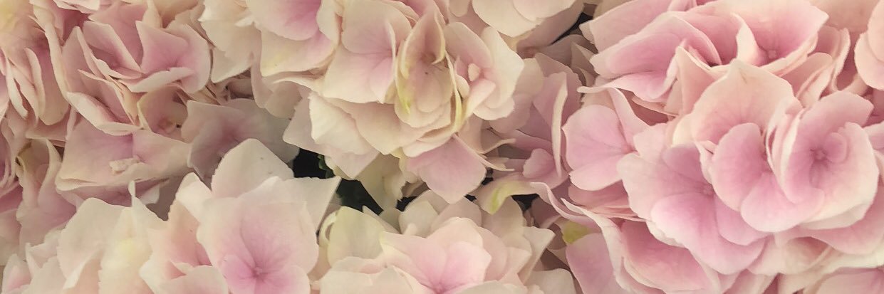 lizranney's profile banner image