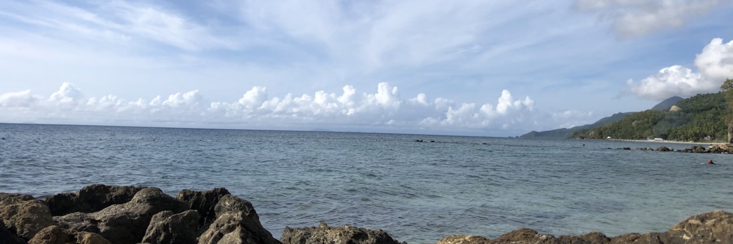 Adrienne Amador Oddi banner