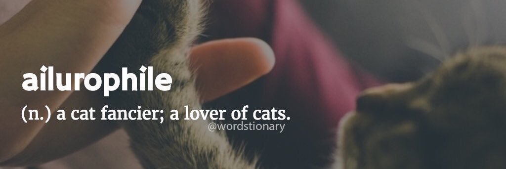 keykthekitty's profile banner image