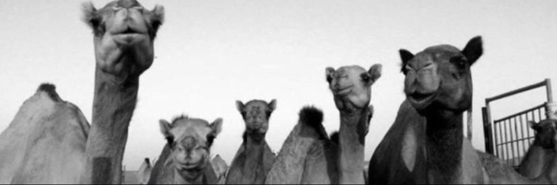 f6mprivv's profile banner image