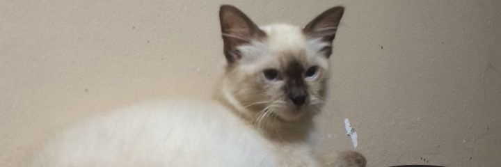FrancisBar53508's profile banner image