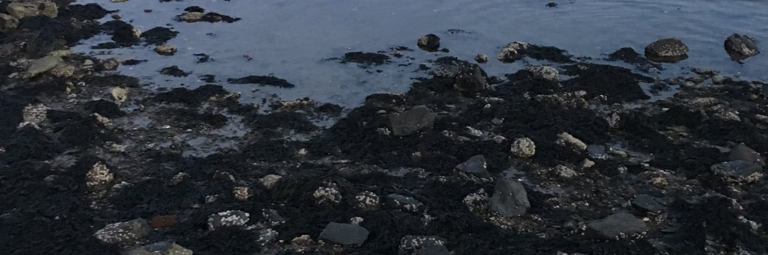 pepppercorns's profile banner image