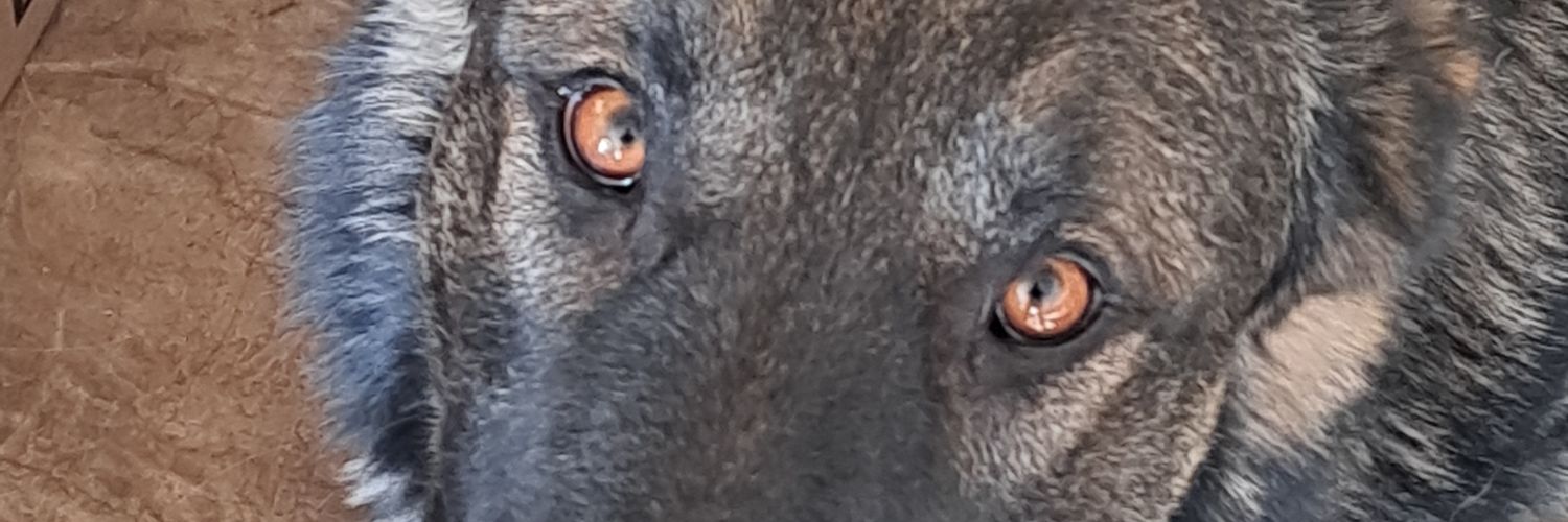 JamnNasium's profile banner image