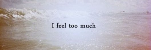 katelyn323's profile banner image