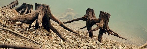 LeaveItAllBehin's profile banner image