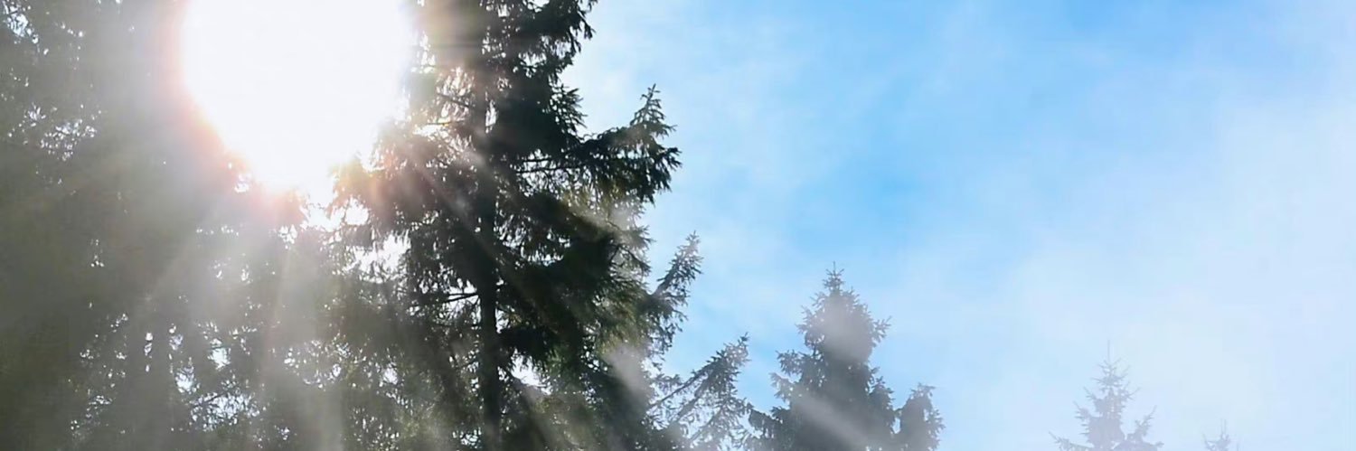 54321ABC02's profile banner image