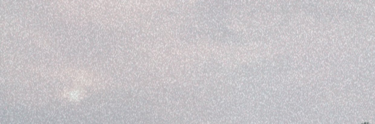 teslimeozden's profile banner image