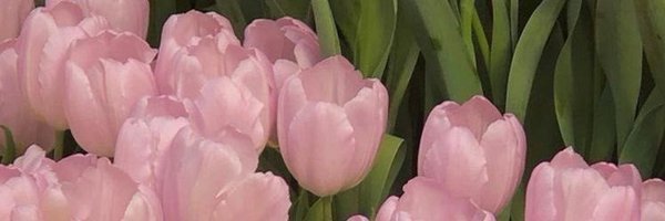 insperarise Profile Banner