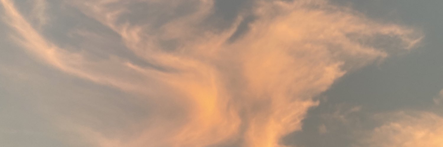 zz280124's profile banner image