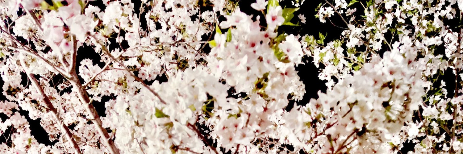 yu_systema's profile banner image