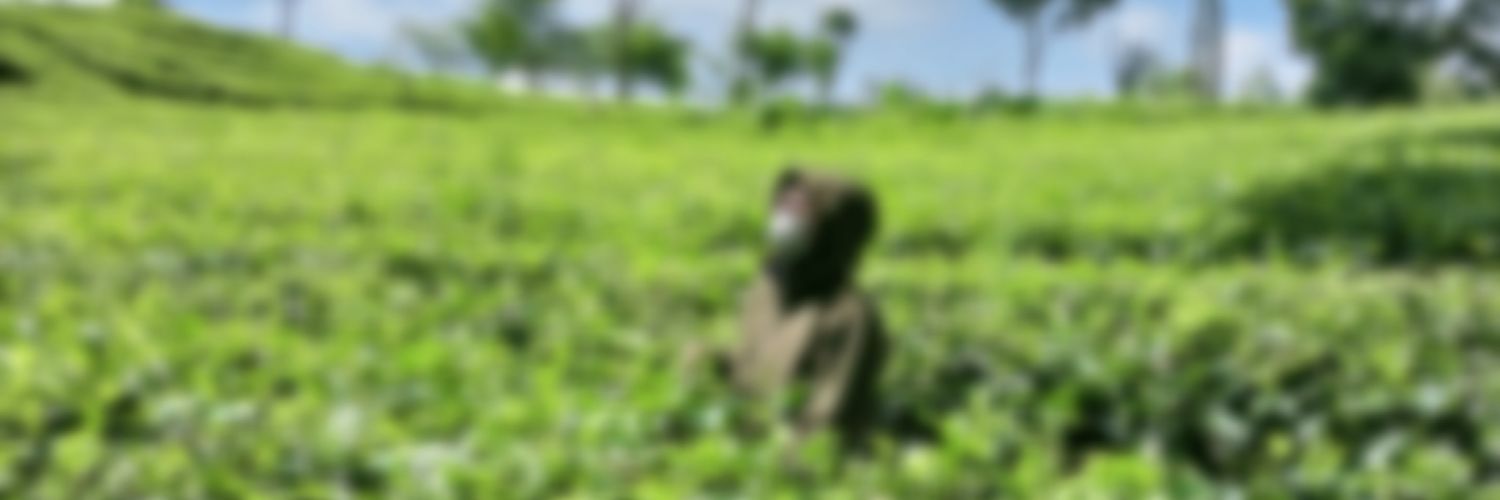 Andin_ndn's profile banner image