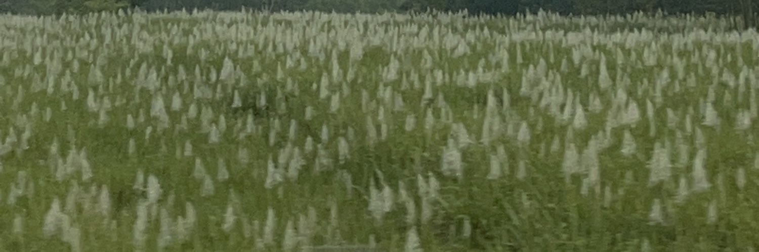 faridhnet's profile banner image