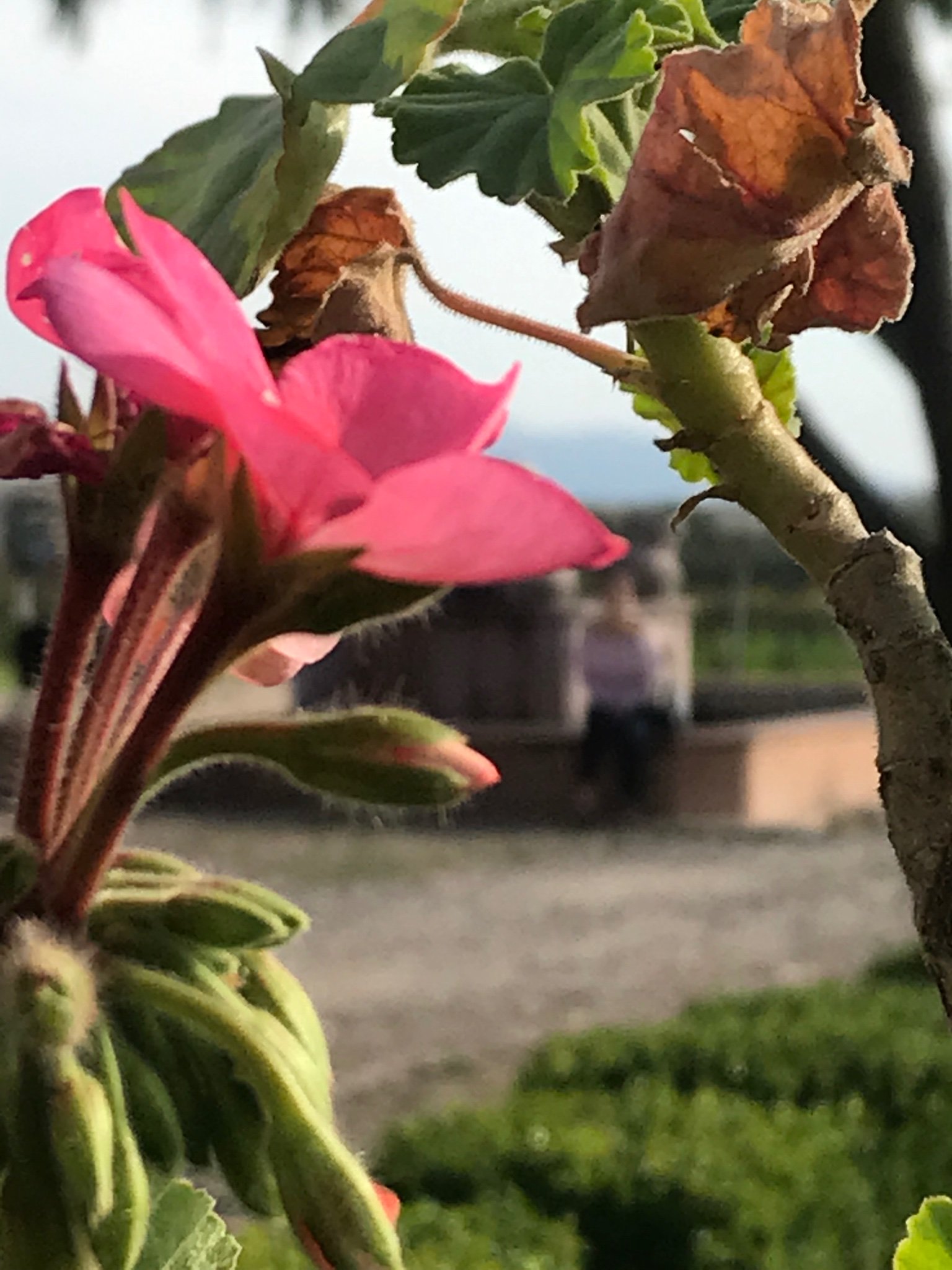 albarecio's profile banner image