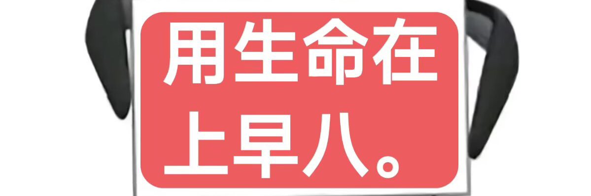 mlirn1111571's profile banner image