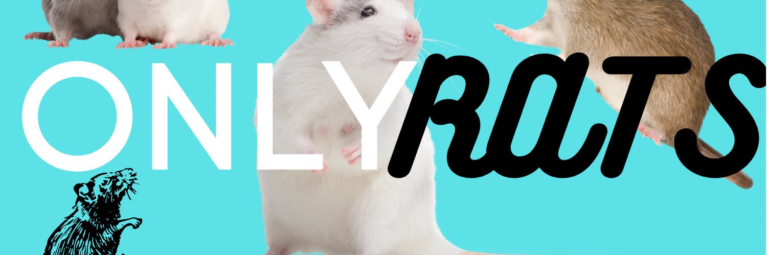 I Wanted so Badly to be 𝓑𝓵𝓪𝔂𝓴 banner