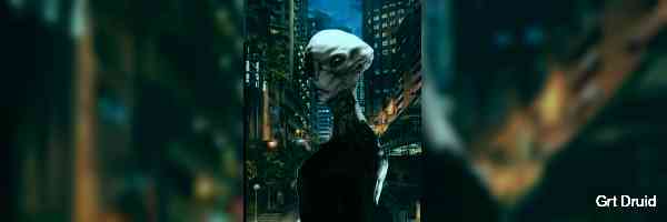 grduid's profile banner image