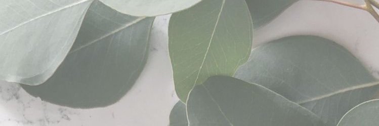 shaegossmann's profile banner image