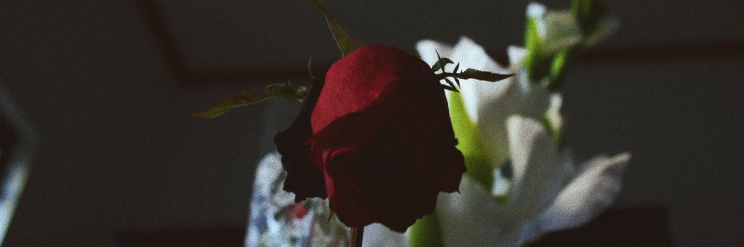 icexlee_'s profile banner image