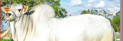 TTM (Time The Markets) banner