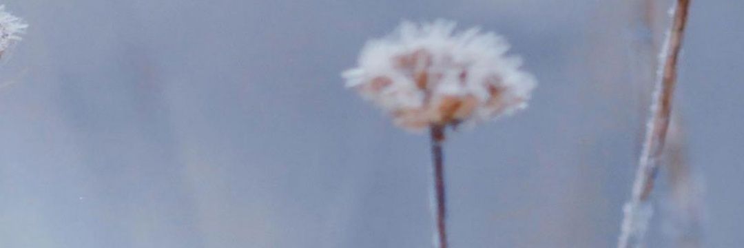 BJones45485's profile banner image