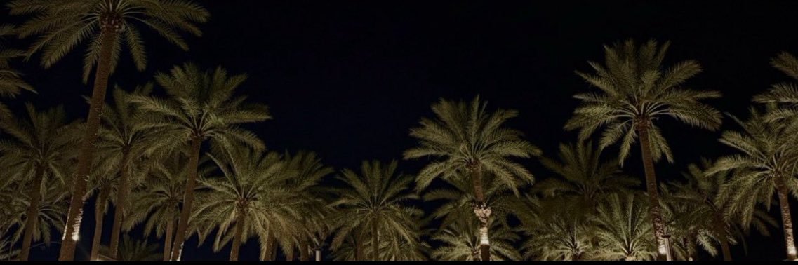 exzaon's profile banner image
