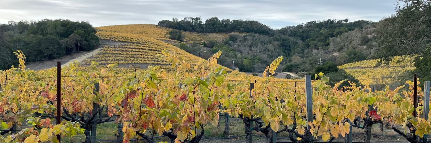 Rick O’Donnell banner