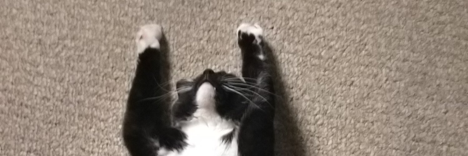 fowjay's profile banner image