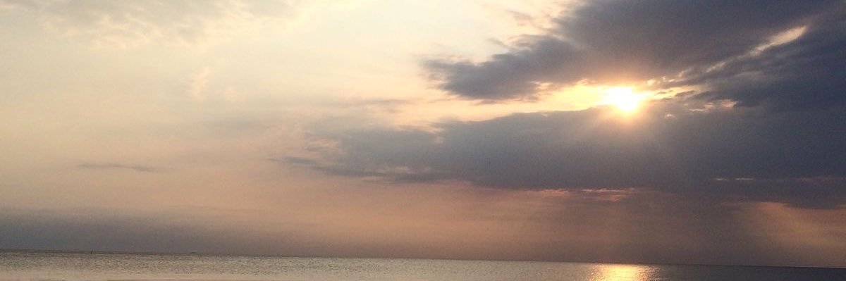 S307750's profile banner image