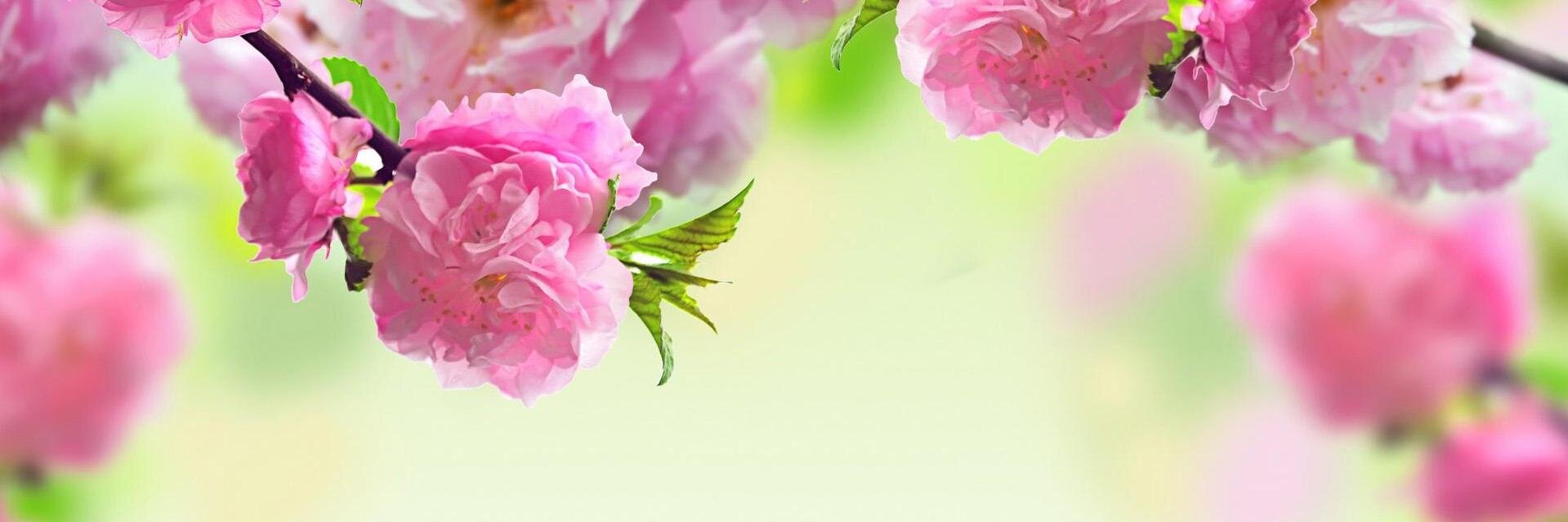 LeeGucci's profile banner image