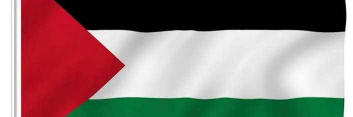 Masterson_Free Palestine 🇮🇪❤️🇵🇸🇱🇧🇾🇪 banner
