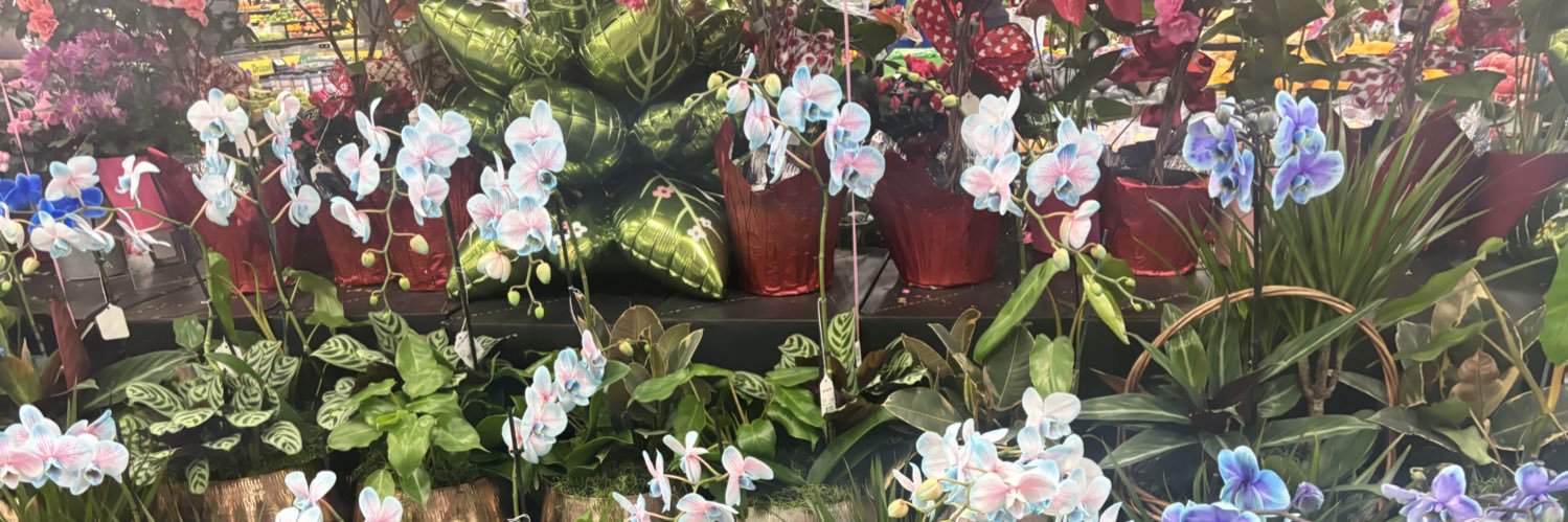 MunchkinQueen84's profile banner image