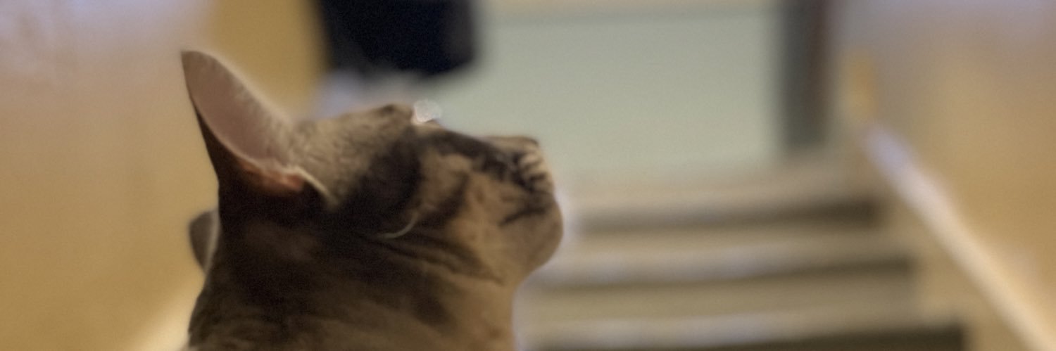 ClassyAnnB's profile banner image