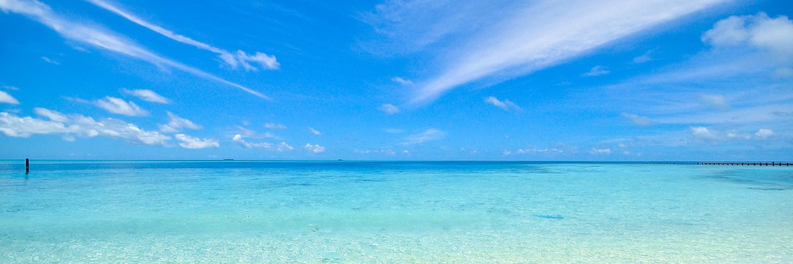 LauraOrdoñez banner